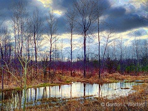 Standing Water_DSCF00939-41.jpg - Photographed near Jasper, Ontario, Canada.